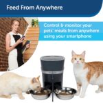 Comedero Automático Inteligente PetSafe para Mascotas Conectado a WiFi Acero Inoxidable Capacidad 24 Tazas Compatible co