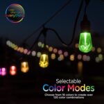 Tira de Luces LED Enbrighten Seasons 24 Pies 12 Bombillas Acrílicas Cambio de Color con Enchufe WiFi UltraPro Interior E