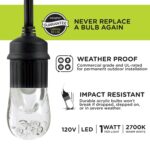 Guirnalda de Luces LED Enbrighten para Café 48 Pies 24 Bombillas Acrílicas con Enchufe Inteligente Wi-Fi UltraPro Interi