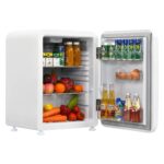 LDAILY Refrigerador compacto, mini refrigerador de 2.4 pies cúbicos con temperatura ajustable de 32 ℉ a 50 ℉, descongela