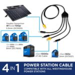 Panel Solar Portátil Westinghouse WS100P 100 W Plegable Monocristalino con USB-C