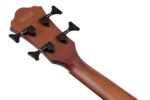 Ibanez AEGB30ENTG Bajo Acústico-Eléctrico - Natural