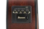 Ibanez AEGB30ENTG Bajo Acústico-Eléctrico - Natural