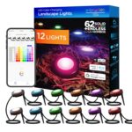 Luces LED Inteligentes para Exteriores Enbrighten 58105 12 Discos Cable de 110 Pies con Cable Guía de 22 Pies Compatible