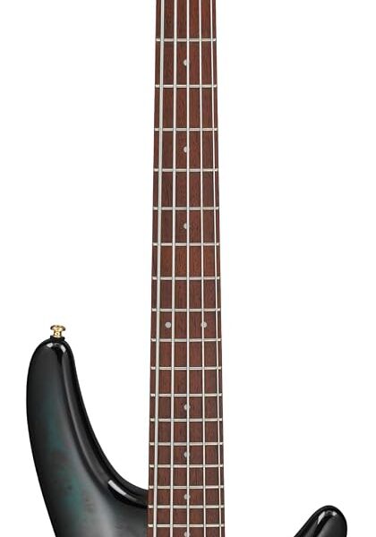 Ibanez SR405EPBDX - Bajo de 5 cuerdas - Tropical Seafloor Burst