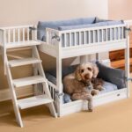 Litera para Perro New Age Pet ECOFLEX Aspen EHBB404 Blanco Antiguo Extragrande con Cojines de Espuma Viscoelástica