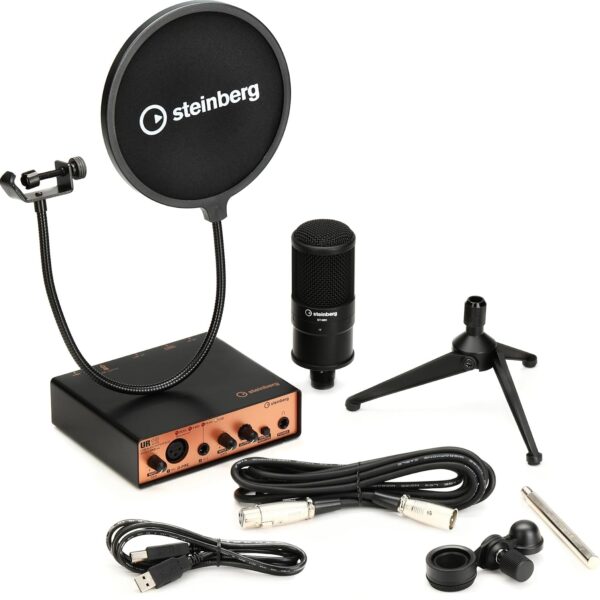 Interfaz de Audio Steinberg UR12B PS Cobre 24 bits 192 kHz USB 2.0 con Micrófono ST-M01
