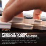 Roland E-X50 Teclado Arreglista Electrónico - Fácil de usar | Altavoces estéreo | Bluetooth | Sonidos Roland profesional
