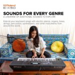 Roland E-X50 Teclado Arreglista Electrónico - Fácil de usar | Altavoces estéreo | Bluetooth | Sonidos Roland profesional