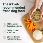 Alimento Fresco Congelado para Perros JustFoodForDogs Vet RX Apoyo Hepático 18 Onzas Paquete de 21