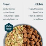 Alimento Fresco Congelado para Perros JustFoodForDogs Vet RX Apoyo Hepático 18 Onzas Paquete de 21
