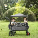Carro Plegable EVER ADVANCED para Niños y Carga Toldo Extraíble Arnés de 5 Puntos Negro