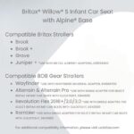 Asiento infantil de automóvil Britax Willow S E1C993K con base Alpine orientado hacia atrás ónix grafito