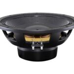 Altavoz Woofer B&C Speakers 12NBX100-4 LF 12 Pulgadas Neodimio 4 Ohm 2000 Watts Bobina de Voz de Cobre 3.937 Pulgadas
