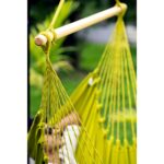 Silla Hamaca Calloway Mills Parakeet 11047HCSET Verde con Juego de 2 Almohadas 24x24 pulgadas Barra de Madera de Pino 44