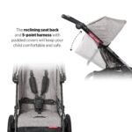 Radio Flyer Momentum - Cochecito de bebé para correr, artículos esenciales para recién nacidos, viajes de niños pequeños