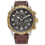Reloj Citizen Promaster Skyhawk A-T JY8084-09H Eco-Drive Caja de Acero Inoxidable Bicolor 45 Milímetros Correa de Cuero