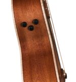 Fender Newporter - Guitarra acústica especial, Honey Burst