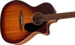 Fender Newporter - Guitarra acústica especial, Honey Burst