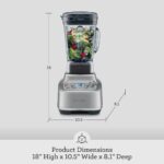 Breville BBL920RCH Super Q Licuadora de Grado Comercial para el Hogar, Royal Champagne