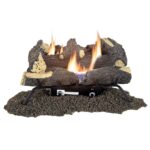 Juego de Troncos de Gas Sin Ventilación Pleasant Hearth Wildwood VFL3-WW24DT 24 Pulgadas 30000 BTU