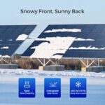 Panel Solar Bifacial Renogy 220 Watts Monocristalino 12 Voltios