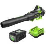 Soplador de Hojas Inalámbrico Greenworks BL80L2515 80V 700 CFM 170 MPH Sin Escobillas