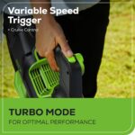 Soplador de Hojas Inalámbrico Greenworks BL80L2515 80V 700 CFM 170 MPH Sin Escobillas