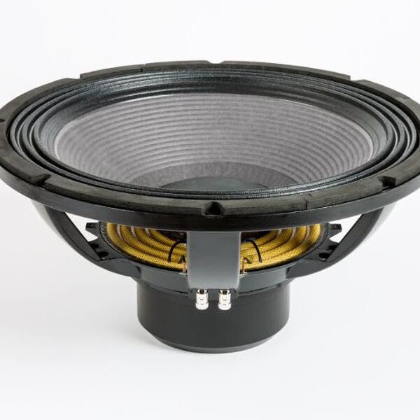 Altavoz Eighteen Sound 18NLW4500.8 18 Pulgadas Woofer de Baja Frecuencia Extendida 1800 Vatios RMS 3600 Vatios Pico 8 Oh