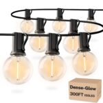 Guirnalda de Luces para Exteriores RTTY CMC-O501 300 Pies 150 Bombillas LED G40 Blanco Cálido Impermeable