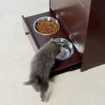 Estación de Alimentación para Mascotas Tzou Cuencos Elevados de Acero Inoxidable Extraíbles Gabinete de Almacenamiento M