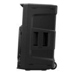 Altavoz de Fiesta AlphaTheta WAVE-EIGHT Portátil con Batería Bluetooth 8 Pulgadas Impermeable 100 Vatios