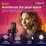 LEWITT Micrófono de condensador RAY XLR con auto