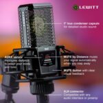 LEWITT Micrófono de condensador RAY XLR con auto