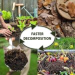 Koolscapes Compostador giratorio de doble cámara, 42 galones (160 litros), color negro, para exteriores, compostador rot
