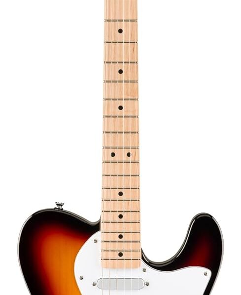 Affinity Series Telecaster Thinline, diapasón de arce, golpeador blanco, 3 colores Sunburst
