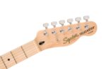Affinity Series Telecaster Thinline, diapasón de arce, golpeador blanco, 3 colores Sunburst