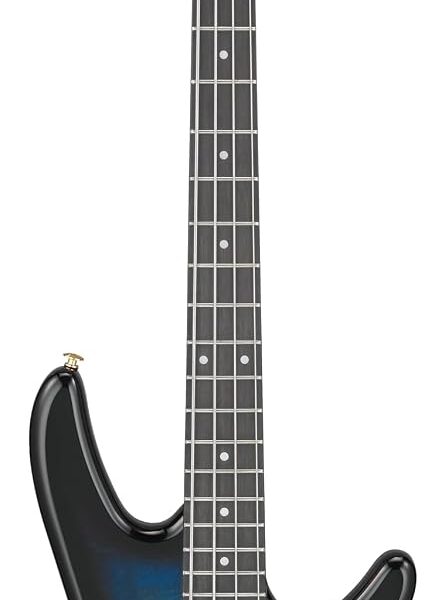 Ibanez Gio GSR200PC - Bajo eléctrico de 4 cuerdas para diestros con cuerpo de Okoume, cuello de arce y diapasón de Purpl