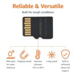 Tarjeta microSDXC Amazon Basics LSMICRO512GU3-H 512GB con adaptador velocidad de lectura hasta 200 MB/s Clase 10 U3 A2