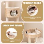 Torre de árbol para gatos PETSITE PTS10204NACTPV 50 pulgadas 5 niveles Sisal natural Crema Blanco