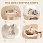 Torre de árbol para gatos PETSITE PTS10204NACTPV 50 pulgadas 5 niveles Sisal natural Crema Blanco