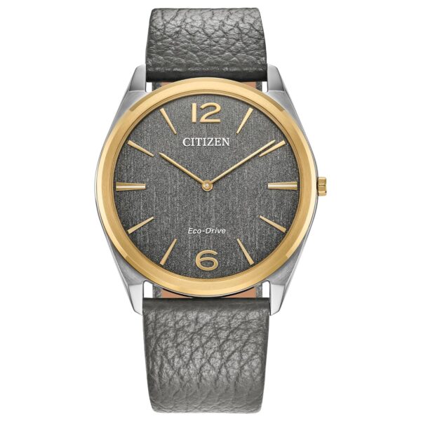 Reloj Citizen Eco-Drive Classic Unisex AR3124-07H Acero Inoxidable Cristal de Zafiro Correa de Cuero Gris 38.4 mm