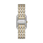 Reloj Fossil Raquel ES5376SET Acero Inoxidable Dos Tonos Esfera Gris Caja Rectangular 23 Milímetros