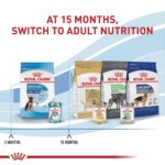 Alimento Seco para Cachorros de Raza Grande Royal Canin Size Health Nutrition Modelo 144936 Sabor Pollo Bolsa 40 lb