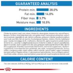 Alimento Seco para Cachorros de Raza Grande Royal Canin Size Health Nutrition Modelo 144936 Sabor Pollo Bolsa 40 lb