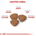 Alimento Seco para Cachorros Royal Canin Size Health Nutrition Raza Pequeña Sabor Pollo Bolsa 30 Libras
