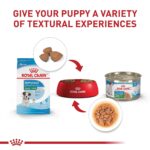 Alimento Seco para Cachorros Royal Canin Size Health Nutrition Raza Pequeña Sabor Pollo Bolsa 30 Libras