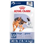 Alimento Seco Royal Canin Size Health Nutrition Perro Adulto Raza Grande Sabor Pollo Bolsa 40 Libras