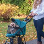 Cochecito para mascotas Pet Gear Happy Trails Lite 8030NZJD entrada sin cremallera color Jade