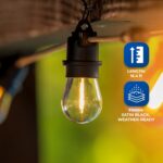 Cadena de Luces Bluetooth Outland Living ACC-180 16.4 pies 8 Bombillas LED Blanco Cálido con 2 Altavoces Bluetooth 5.0